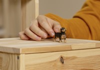 Schleich Farm World Teckel-2
