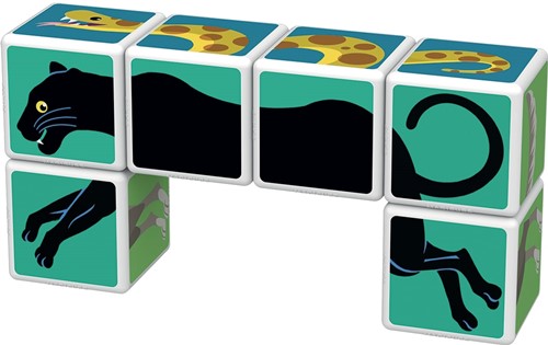 Geomag Magicube Printed Jungle + Cards 6 pcs-2