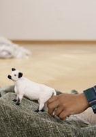 Schleich Farm World Galloway Cattle-3