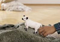 Schleich Farm World Galloway Cattle-2