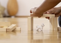 Schleich Farm World Bichon Frise-2