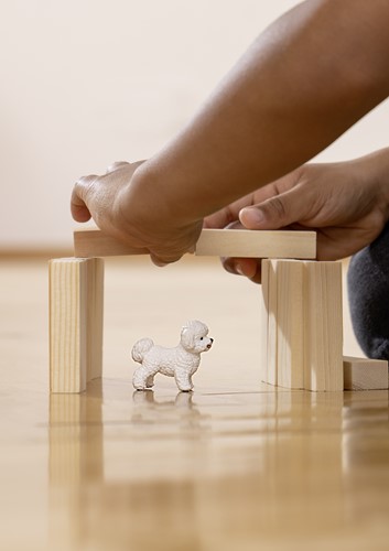 Schleich Farm World Bichon Frise-3