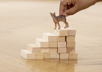Schleich Farm World Abyssinian Cat-3