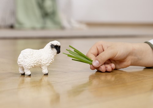 Schleich Farm World Blacknose sheep-2