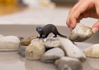 Schleich Wild Life Otter-3