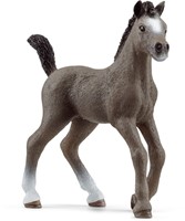 Schleich Horse Club Cheval de Selle Fr. foal-2