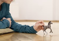 Schleich Horse Club Cheval de Selle Fr. foal-3