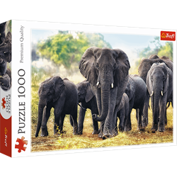 Trefl 1000 - African elephants