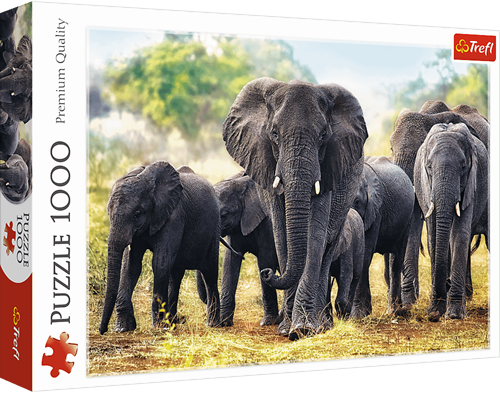 Trefl 1000 - African elephants