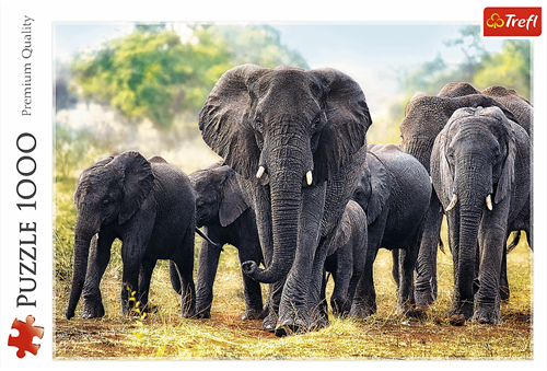 Trefl 1000 - African elephants-3
