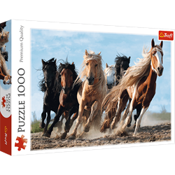 Trefl 1000 - Galloping horses