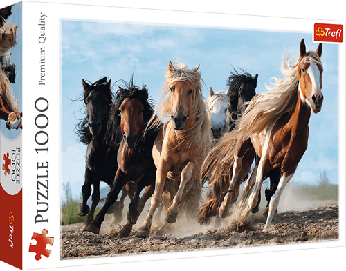 Trefl 1000 - Galloping horses