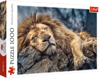 Trefl 1000 - Sleeping lion