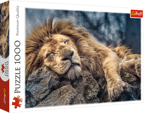 Trefl 1000 - Sleeping lion