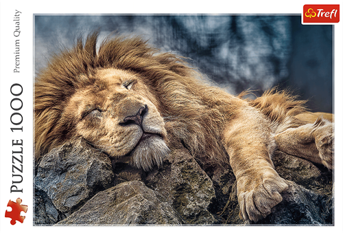 Trefl 1000 - Sleeping lion-3