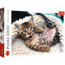 Trefl 1000 - Cheerful kitten