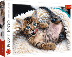 Trefl 1000 - Cheerful kitten