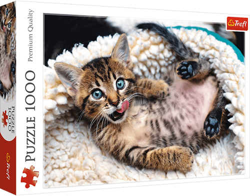 Trefl 1000 - Cheerful kitten
