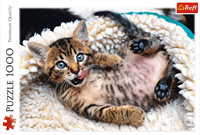 Trefl 1000 - Cheerful kitten-3