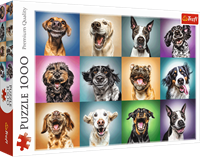 Trefl 1000 - Funny dog portraits