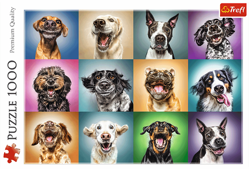 Trefl 1000 - Funny dog portraits-3