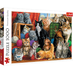 Trefl 1000 - Feline meeting