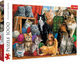 Trefl 1000 - Feline meeting