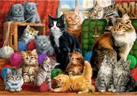 Trefl 1000 - Feline meeting-2