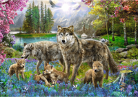 Trefl 1000 - Lupine family-2