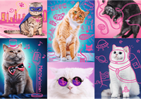 Trefl 1000NC -Super cats-2