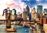 Trefl 1000FC - Cats in New York-2