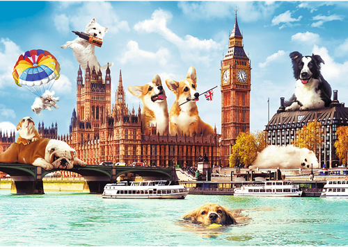 Trefl 1000FC - Dogs in London-2