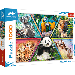 Trefl 1000 - Animal Kingdom / Discovery Animal Planet
