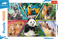 Trefl 1000 - Animal Kingdom / Discovery Animal Planet-3