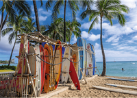 Trefl 1000 - Waikiki Beach, Hawaii-2