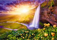 Trefl 1000 UFT - Seljalandsfoss Waterfall, Iceland_FSC Mix 70%-2
