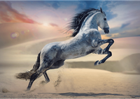 Trefl 1000  - Majestic Horse-2