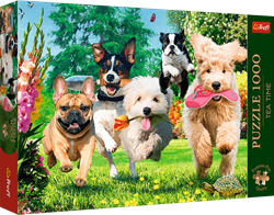 Trefl 1000 Premium Plus  - Tea Time: Here Comes Trouble!_FSC Mix 70%