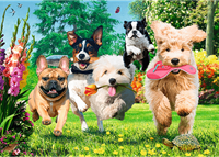 Trefl 1000 Premium Plus  - Tea Time: Here Comes Trouble!_FSC Mix 70%-2