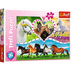 Trefl 200 - Beautiful horses