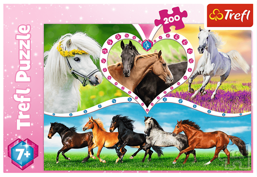 Trefl 200 - Beautiful horses-3