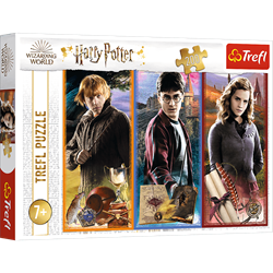 Trefl 200 - In the world of magic and witchcraft / Warner Ha