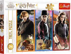 Trefl 200 - In the world of magic and witchcraft / Warner Ha