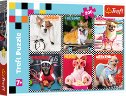 Trefl 200 - Happy dogs