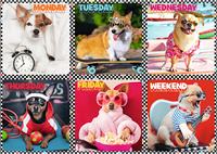 Trefl 200 - Happy dogs-3