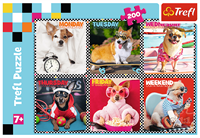 Trefl 200 - Happy dogs-2