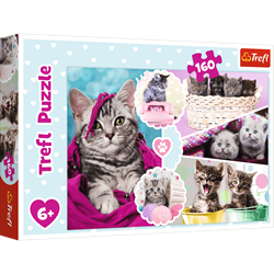 Trefl 160 - Lovely kittens