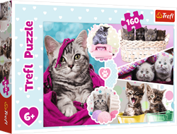 Trefl 160 - Lovely kittens