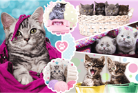 Trefl 160 - Lovely kittens-2
