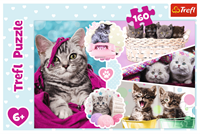 Trefl 160 - Lovely kittens-3